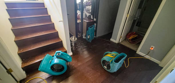 Best Flood restoration services  in Peekskill, NY